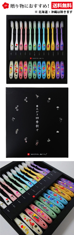 歯みがき四季折々＜極(ふつう)12本セット＞ | 「みがきやすい」歯ブラシ