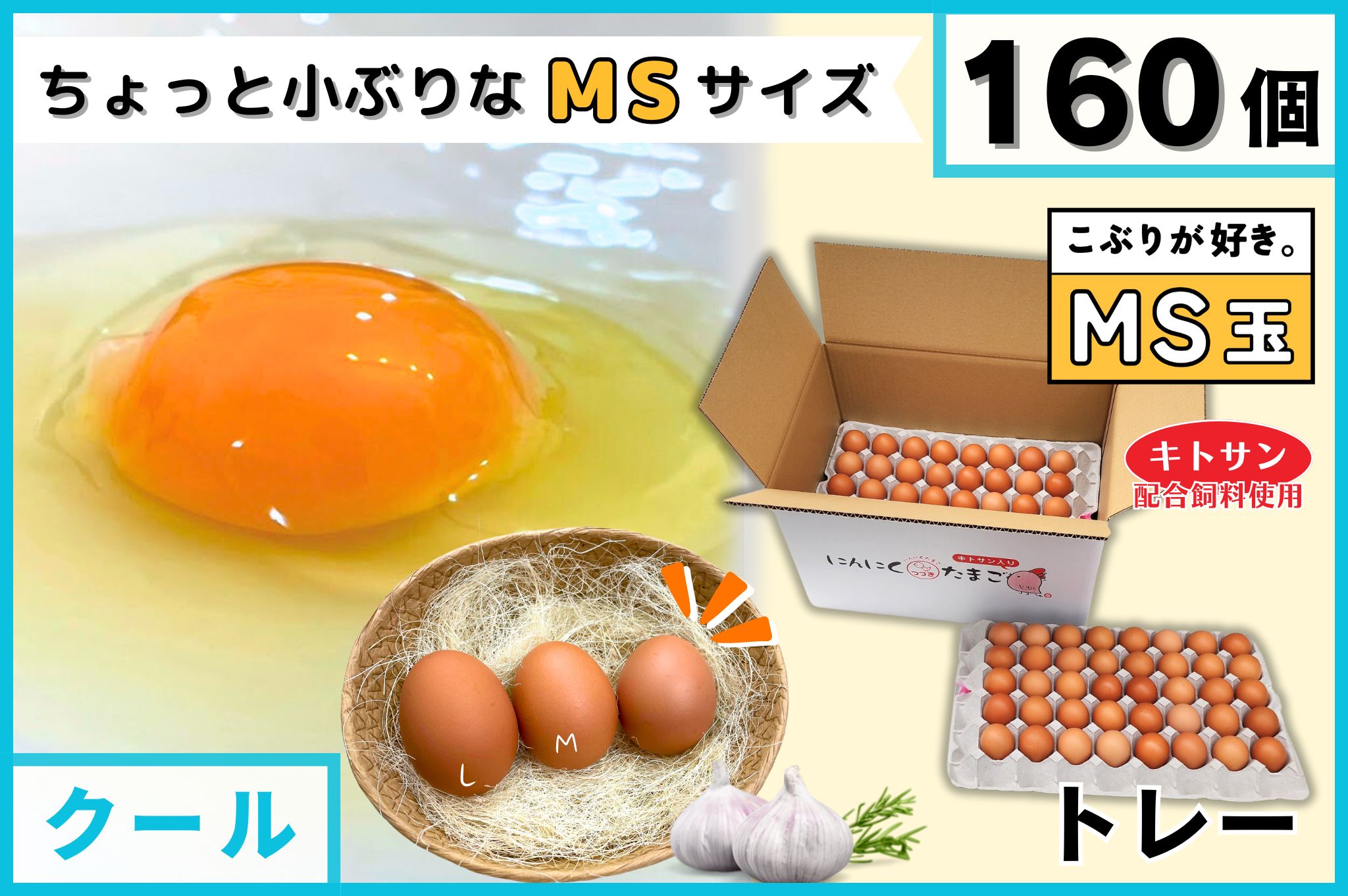 のりたま様購入専用 のりたま様購入専用 のりたま様購入専用 Amazon.co