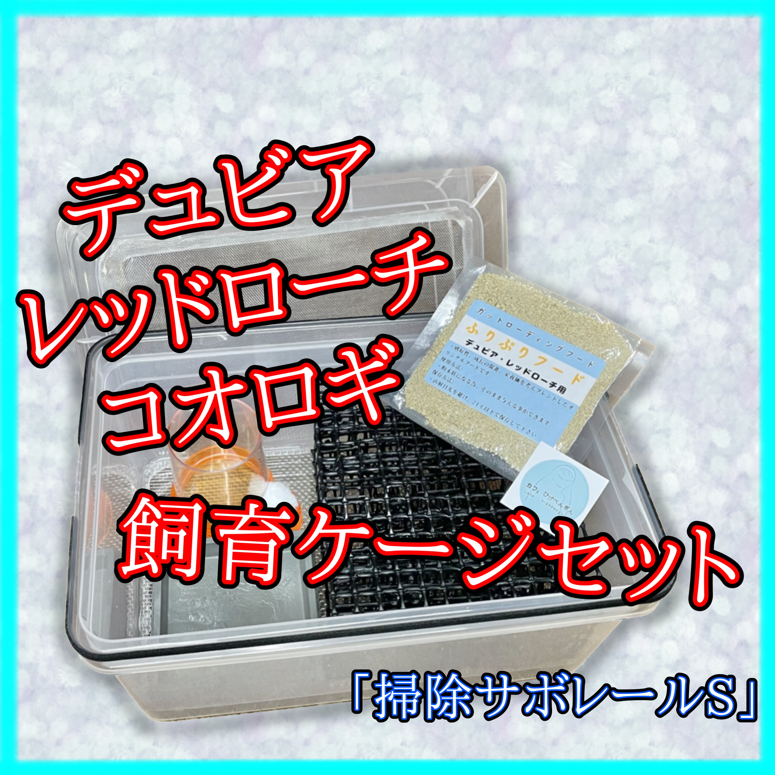 最も安い デュビア、レッドローチ、コオロギ飼育ケージ【掃除