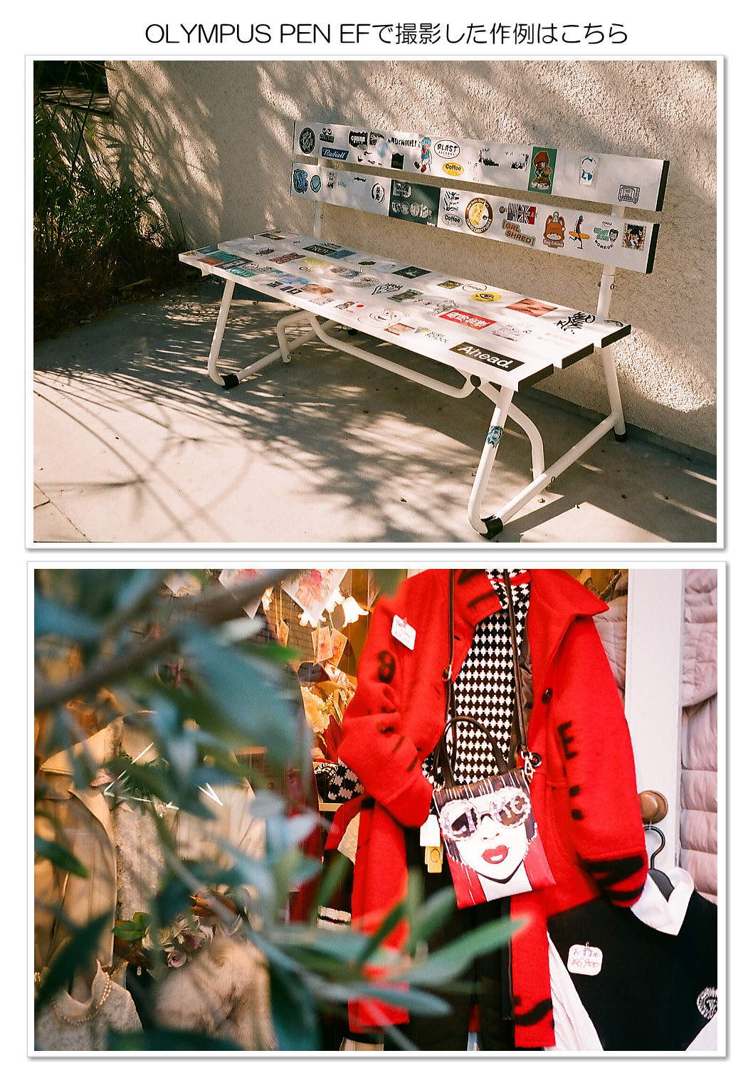 OLYMPUS PEN EF | ミーナ