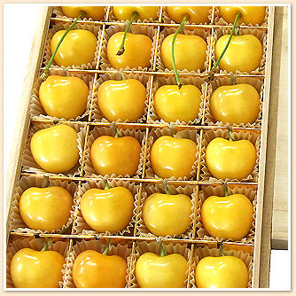 楽天市場】フルーツ ギフト さくらんぼ 月山錦 約180g 約24粒入り 山形