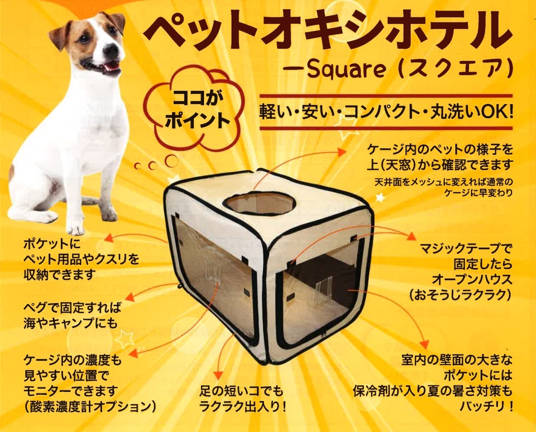 楽天市場】ペット用酸素室 ペット オキシ ホテル スクエア【Mサイズ