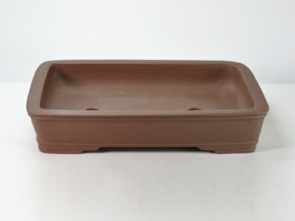 楽天市場】鳥泥長方中浅 盆栽鉢17号 鉢幅51cm×奥行き39cm×高さ9.5cm