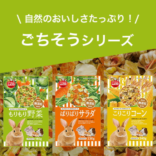 楽天市場】うさぎケージ マルカン うさぎのカンタンおそうじケージ