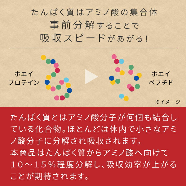 ホエイプロテイン WPH 100g 無添加 プレーン味 送料無料 ニチエー