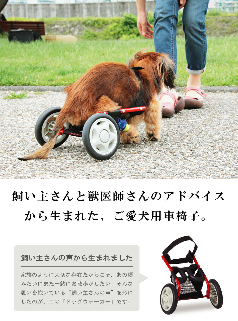 楽天市場】【ミニチュアダックスフンド用】 犬用 歩行器 歩行補助