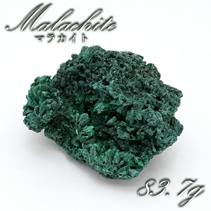 健康 洞察力 リラックス 癒し 緑色