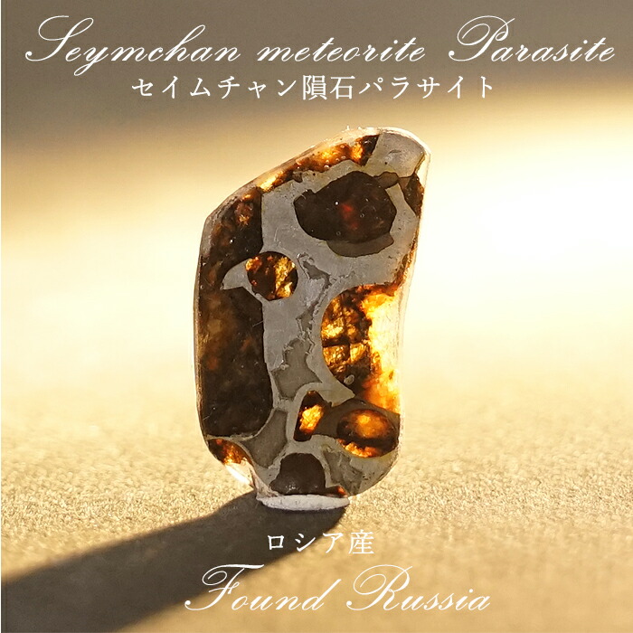 一点物】 セリコ隕石 ケニア産 パラサイト Serico meteorite Parasite