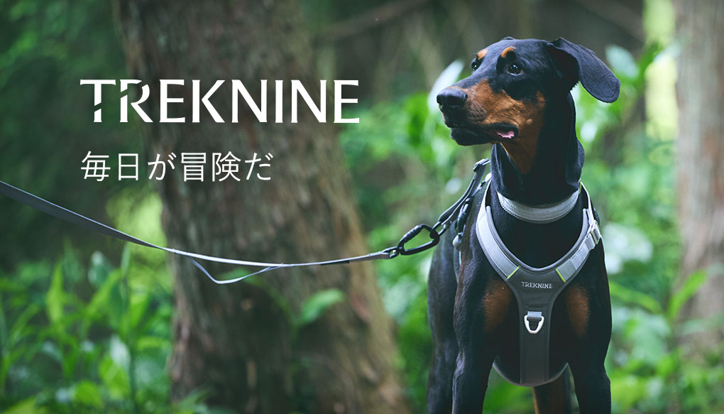 首輪・ハーネス・リード nirin05 リード・ハーネス・首輪 3点セット(KA-006) | karluv.