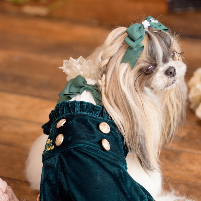 楽天市場】犬服 秋服 きゃんナナ クラシカルベロアワンピース SS-L