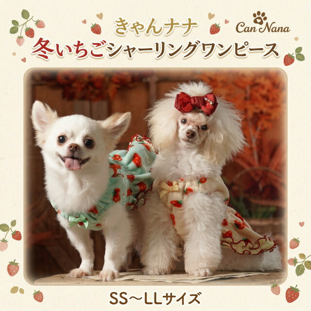 楽天市場】犬服 小型犬 中型犬 冬服 【きゃんナナ】くまさん柄