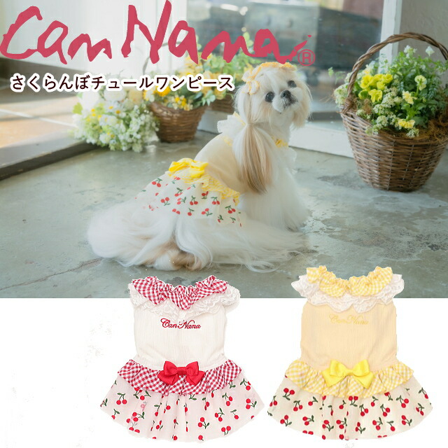 犬服 SS わんこの普段着黄色いさくらんぼ
