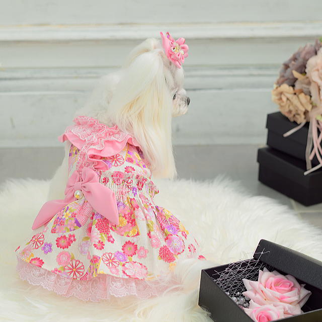 楽天市場】新作 ドッグウェア 犬服 着物風 秋冬【きゃんナナ】花柄和