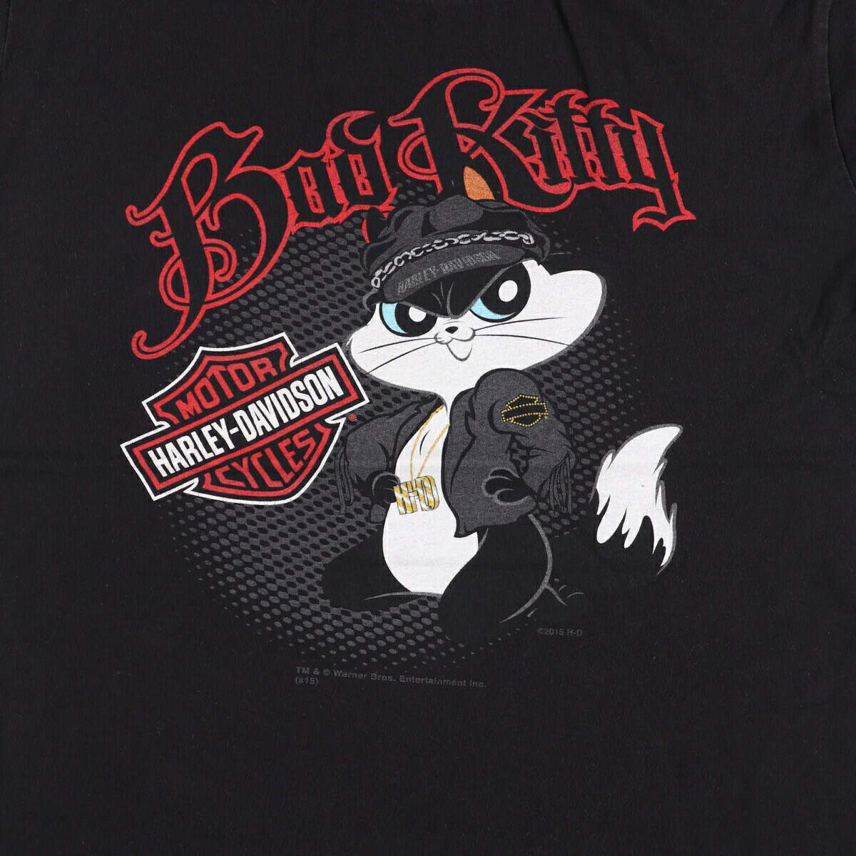 古着 ハーレーダビッドソン Harley-Davidson LOONEY TUNES ルーニー