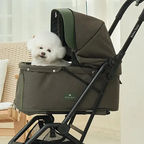 SALE】Florence/フローレンス ROYAL TAILS ロイヤルテイルズ 前後輪に