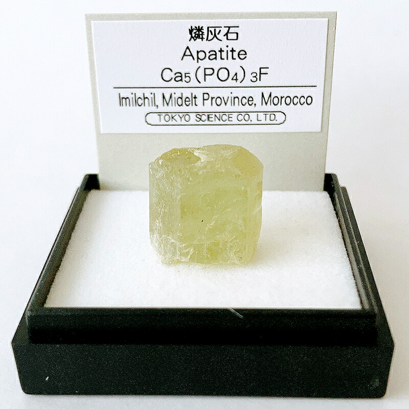 楽天市場】エチオピアオパール（エチオピア） 鉱物 標本 東京