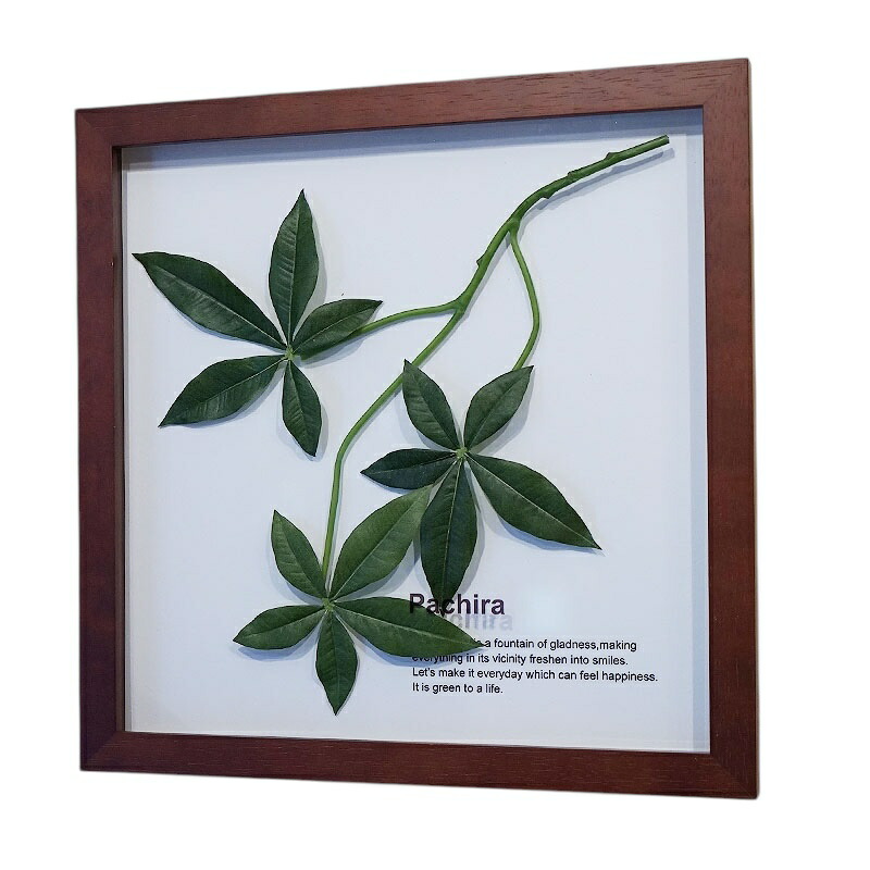 Dr. capa 「金運の木」絵画 フレーム付き コレクション Amazon.co.jp