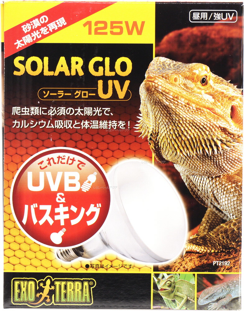 楽天市場】【全国送料無料】GEX エキゾテラ 昼用/強UV ソーラーグロー