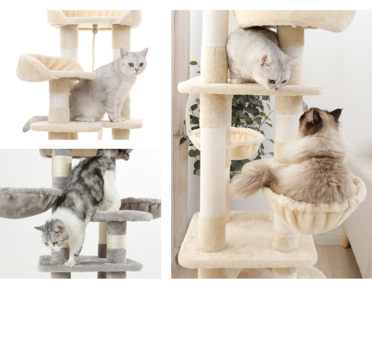 楽天市場】キャットタワー 据え置き スリム 60×49cm 高さ174cm 爪とぎ