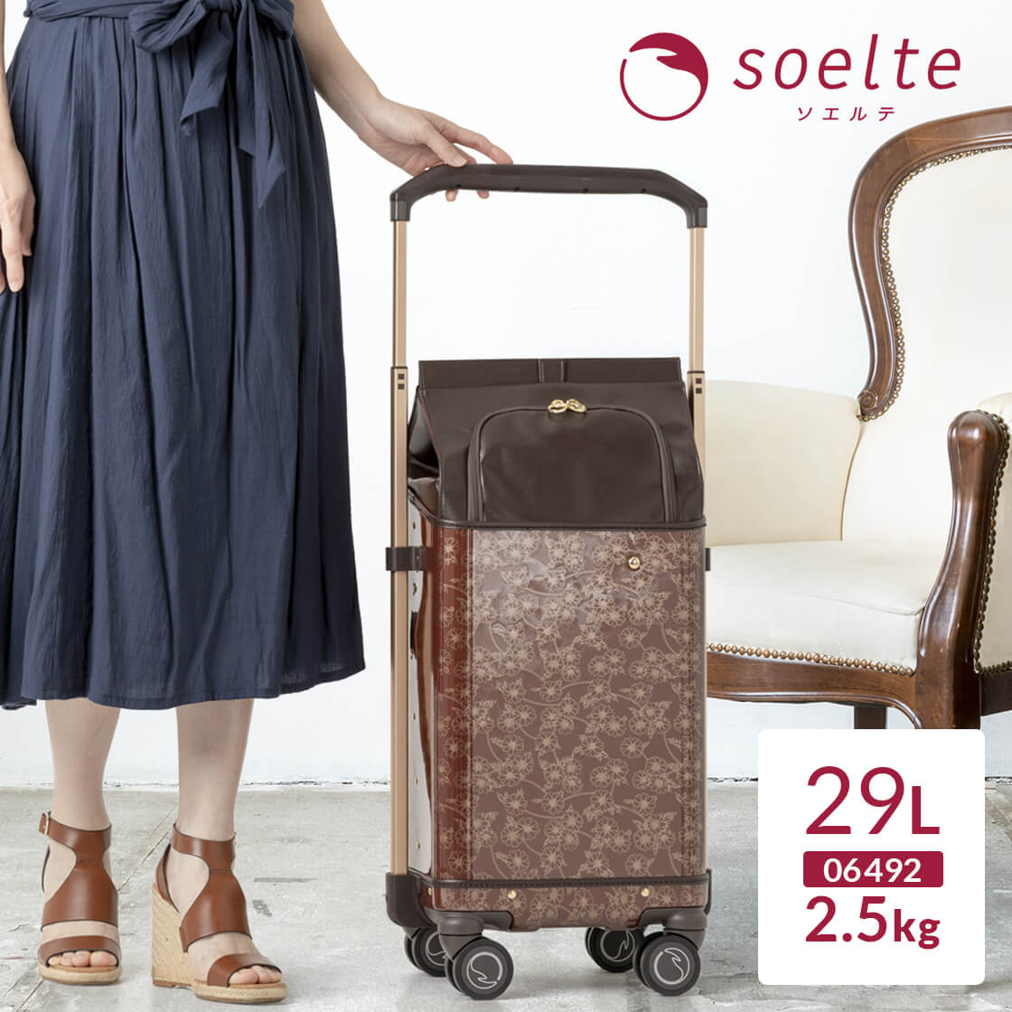 楽天市場】ACE soelte ソエルテ アルディート 20リットルキャリー