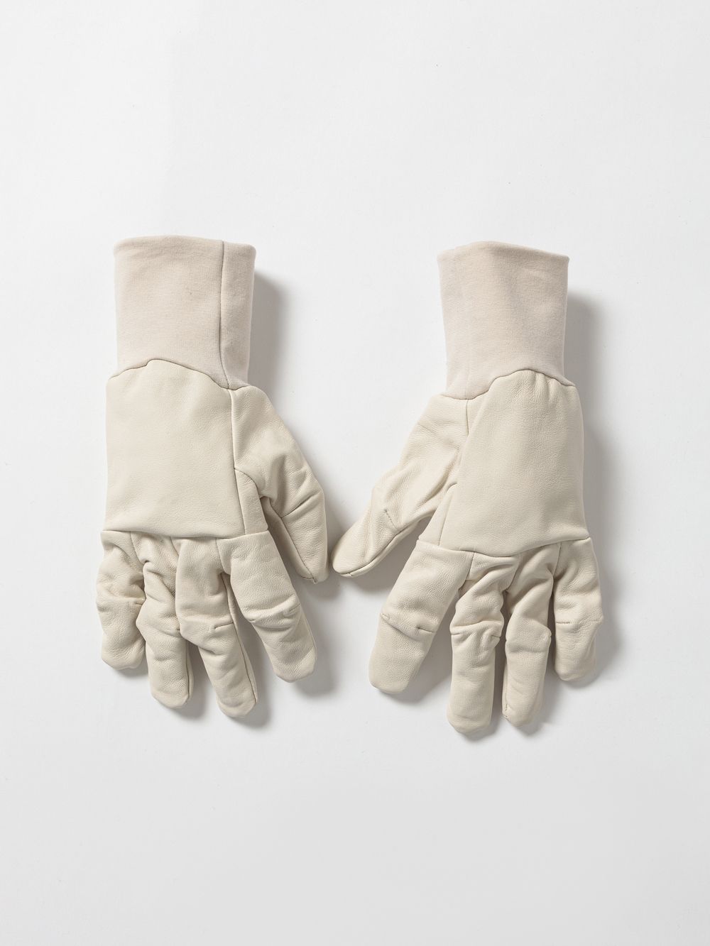 Hgk48hyrFvbb.jpg?width=768