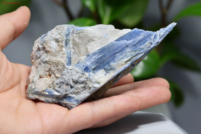 カイヤナイトの原石(A458)