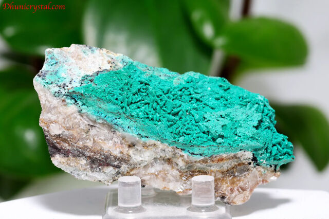 クリソコラ/珪孔雀石