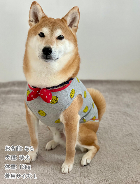 犬服 SS わんこの普段着 オレンジとペールブルーの花 犬服 S わんこ