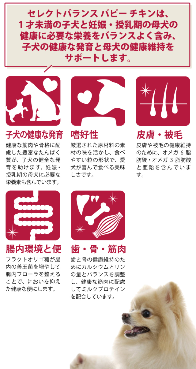 セレクトバランス パピー チキン小粒3kg