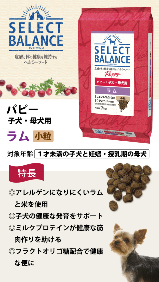 セレクトバランス パピー ラム小粒7kg