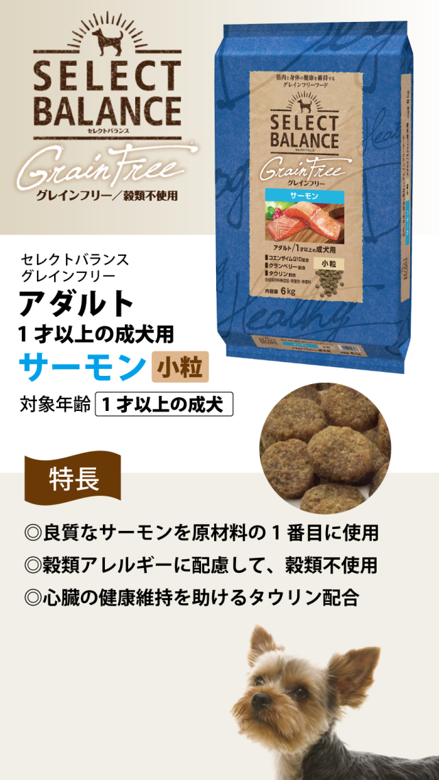 セレクトバランス グレインフリー アダルト サーモン 小粒 6kg