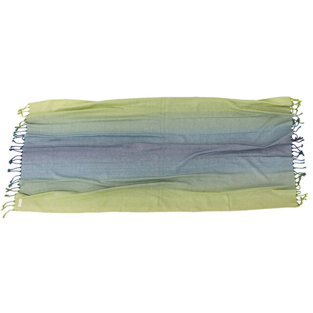 patagonia パタゴニア ライトウェイト・タオル 20031