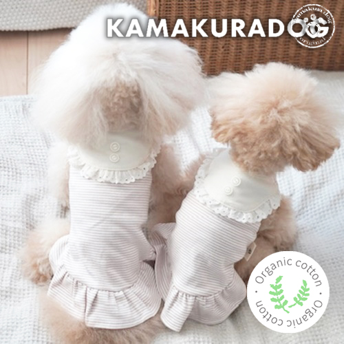 犬用オーガニック特集｜安心・高品質なオーガニックアイテム