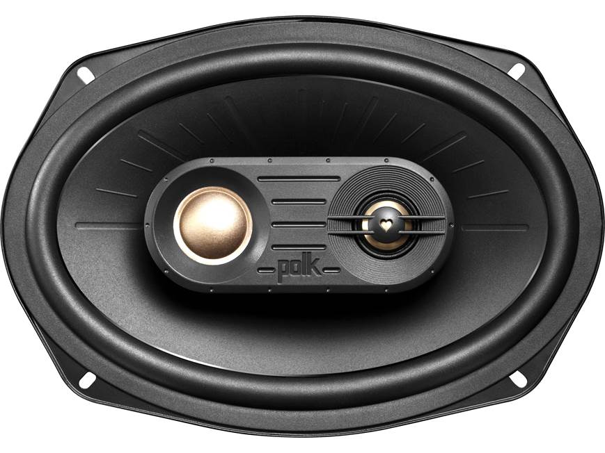 Polk Audio DXi691 6