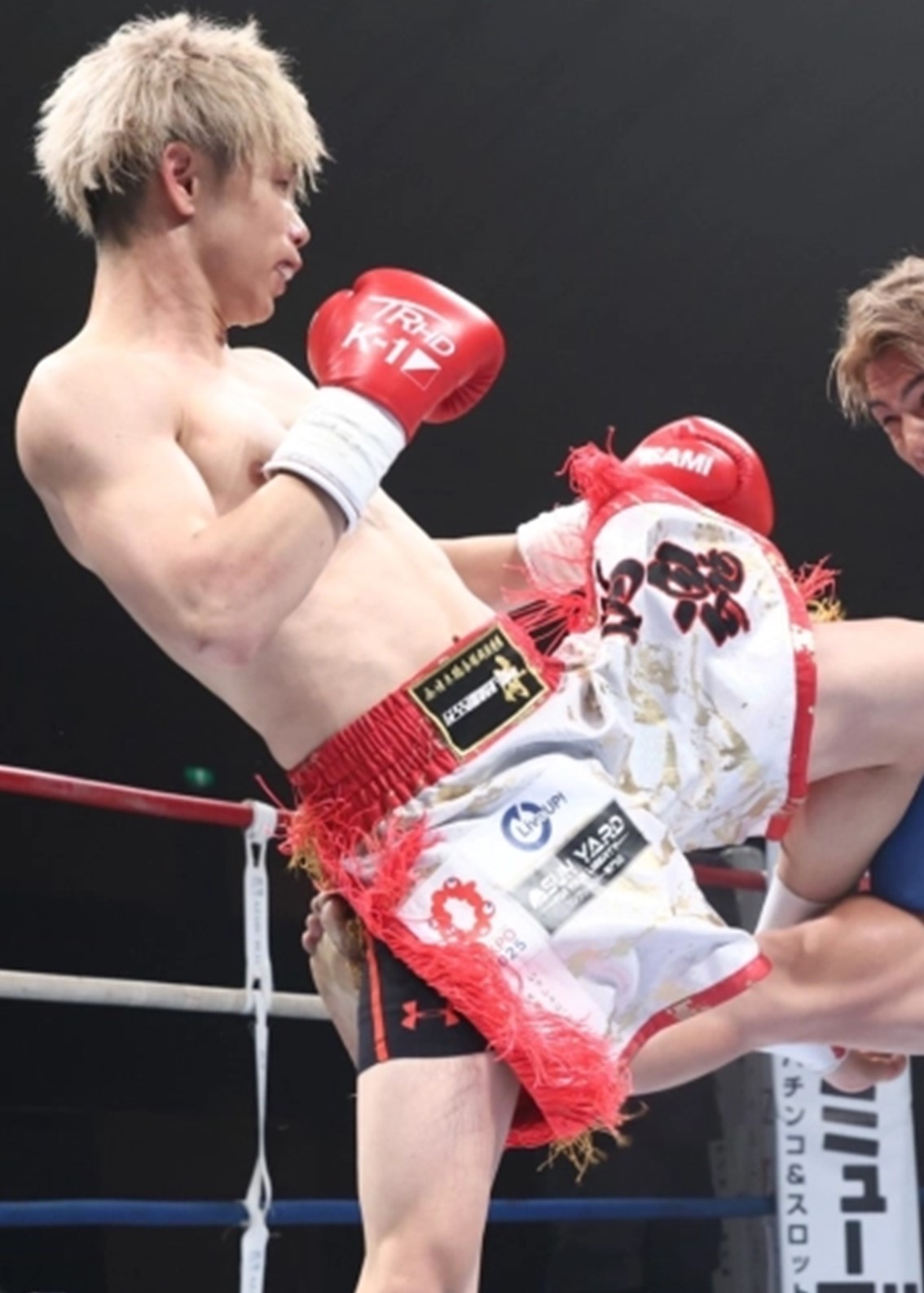 K-1 2005 セミー・シュルト他 サイン入りグローブ&色紙 6点セット