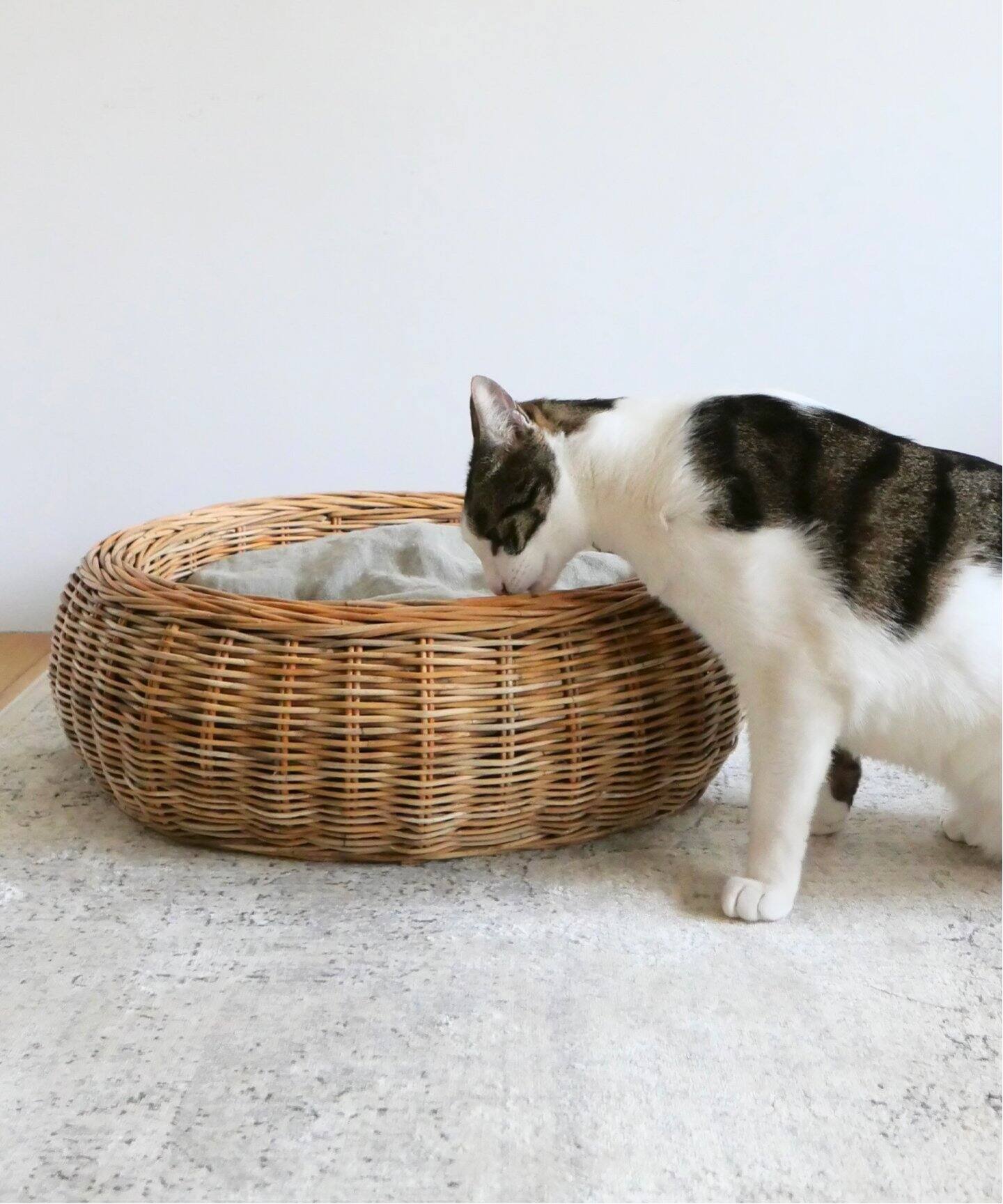 新品】Journal Standard Furniture ペットベッド