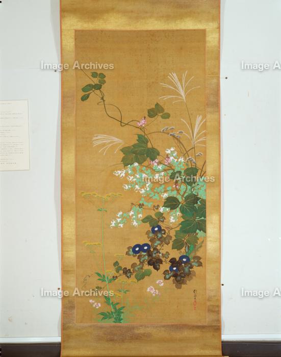 美品 掛け軸 酒井抱一筆 七草図 解説付き 酒井抱一「七草図」複製工芸