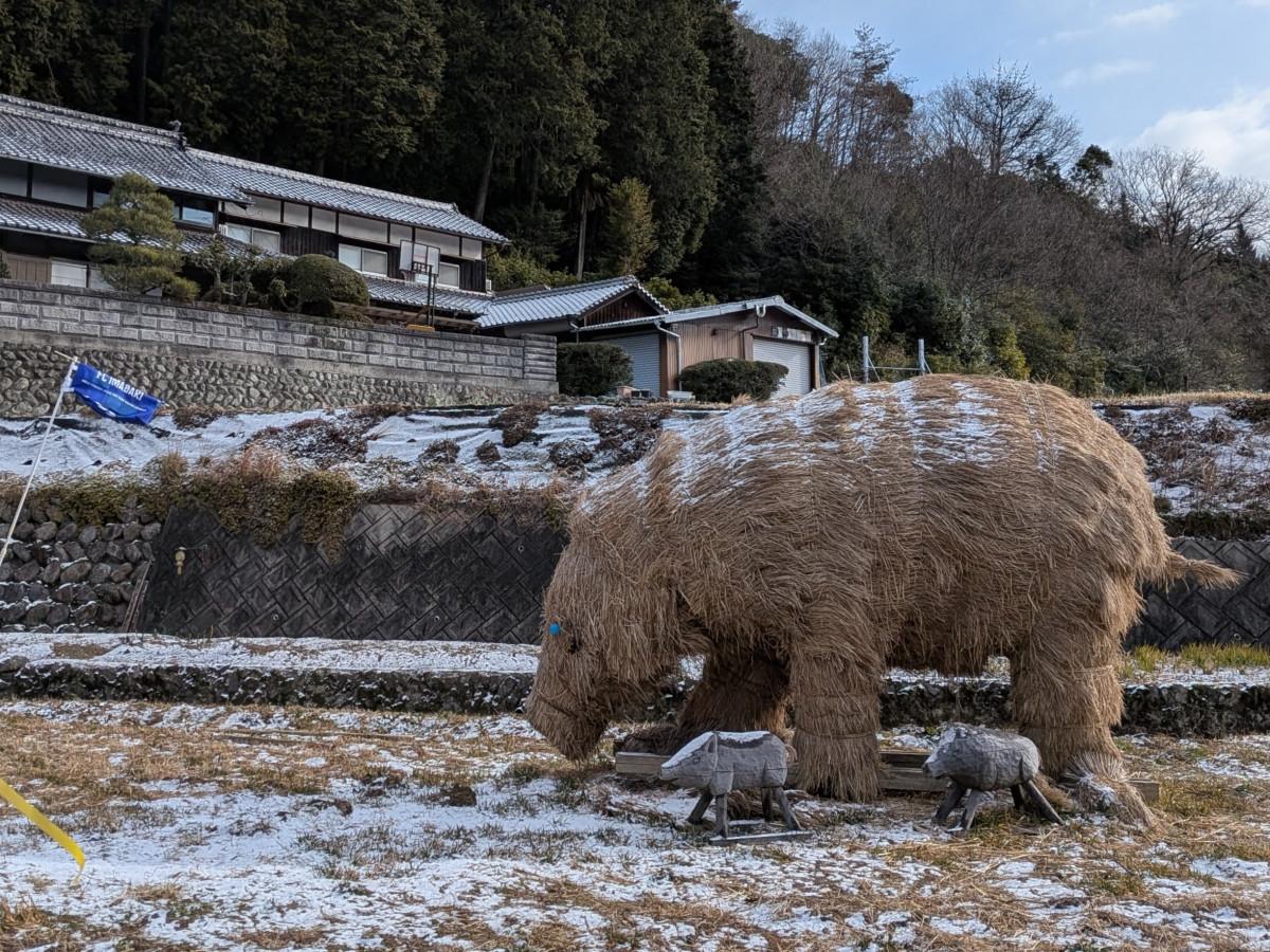 今治の古本カフェが県内作家との個性派ワークショップ 架空の化石
