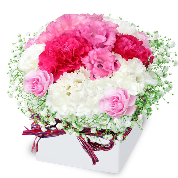 トルコキキョウのロマンチックキューブ - 誕生日フラワーギフト｜｜花