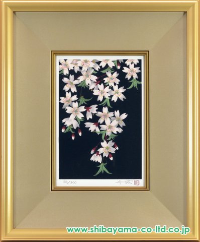 中島千波 「桜花春宵」リトグラフ 版画 桜 日本画 限定 中島千波