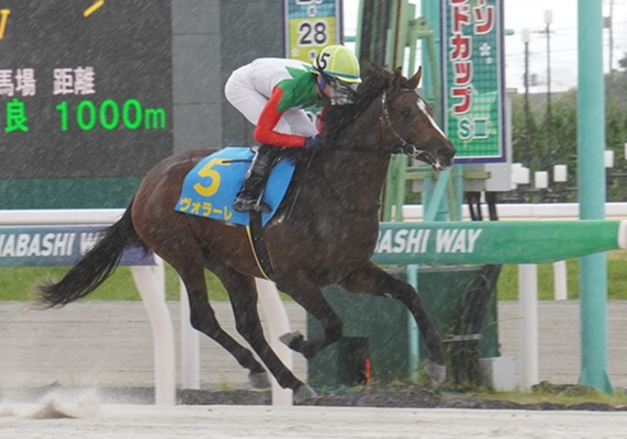 トウカイテイオー 第37回 有馬記念 馬券 【現地購入】 【公式通販】