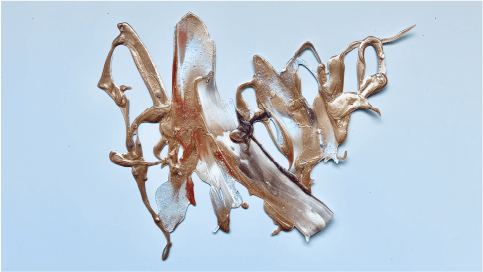 はくいきしろい KATE 【アップサイクルプロジェクト 当選 ステッカー