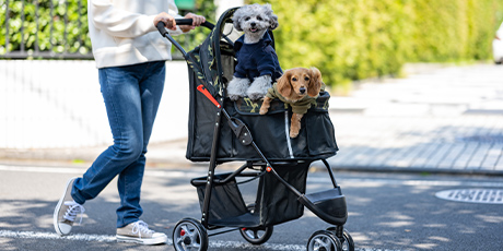 ペット用カート 3輪 ミッキーマウス(販売終了) | ペット用品（犬