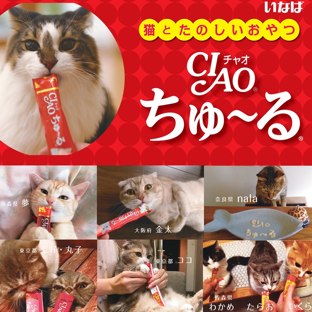 CIAO ちゅ～る まぐろ・かつおバラエティ 40本 | おやつ（猫） 通販
