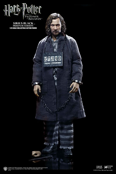 AmiAmi [Character & Hobby Shop] | My Favorite Movie Series 1/6