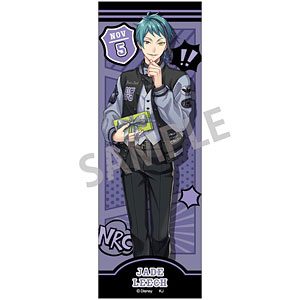 ディズニーツイステッドワンダーランド ユニオンバースデーver. ロング