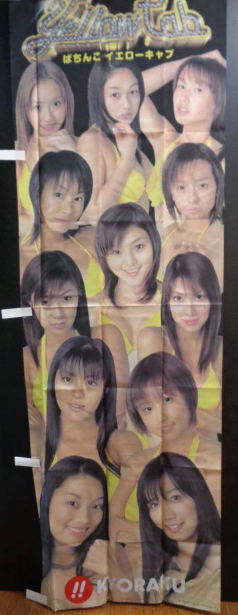 小池栄子 等身大両面ポスター KYORAKU 非売品 小池栄子 等身大ポスター