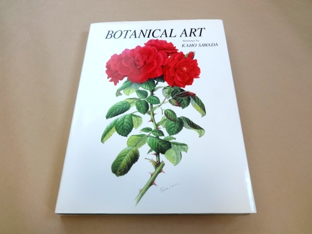 澤田佳歩ボタニカルアート原画