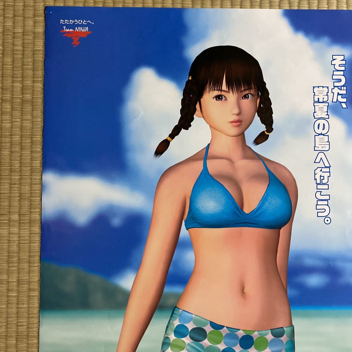 デッドオアアライブ エクストリームビーチバレー ポスター ヒトミ