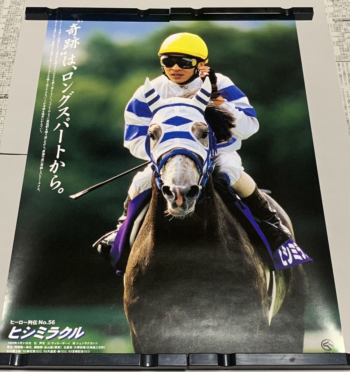 非売品】ウオッカ ポスター B3サイズ 競馬 ヒーロー列伝ウマ娘 大橋彩香